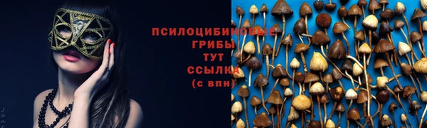 прущая мука Надым