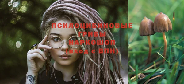 тгк Наволоки