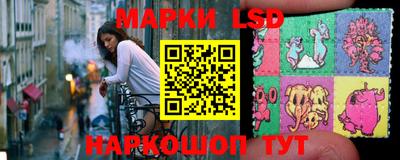 индика Новозыбков