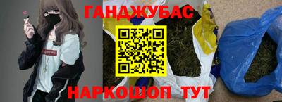 индика Новозыбков