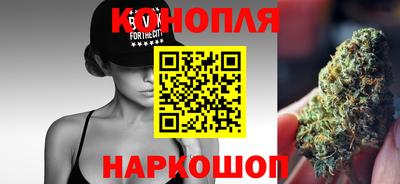 индика Новозыбков