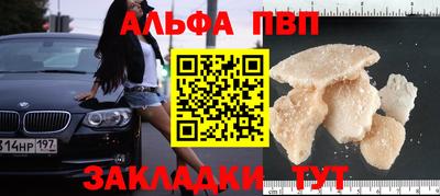 индика Новозыбков