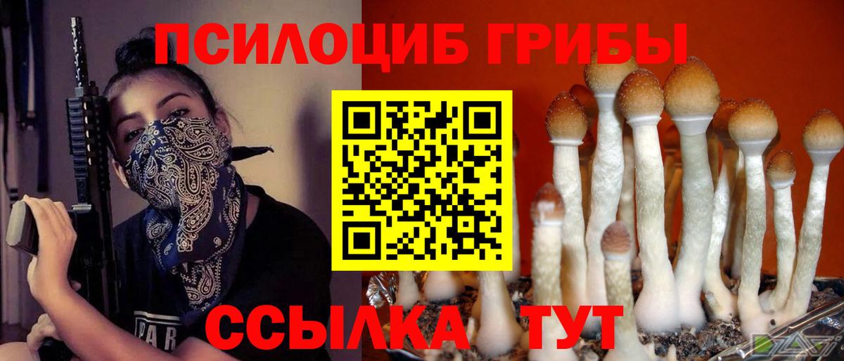 Первоуральск  Галлюциногенные грибы Psilocybine cubensis  Вход с VPN  Галлюциногенные грибы Magic Shrooms 